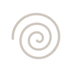 Spiral icon representing emotional overwhelm